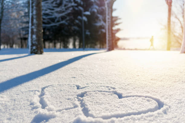 hand drawn two heart shape in the fresh snow.Blurred sunset park forest trees background.