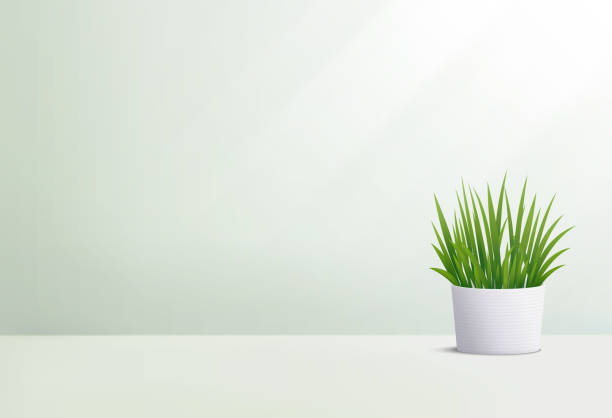 istock Background 3d abstract minimal scene with plant. Cosmetic product presentation. Illustration. 1363288808