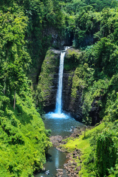 awesome view of sopoaga tropical waterfall samoa close up, exotic travel tourist destination at upolu island, south pacific, oceania, polynesian paradise - south pacific ocean island polynesia tropical climate imagens e fotografias de stock