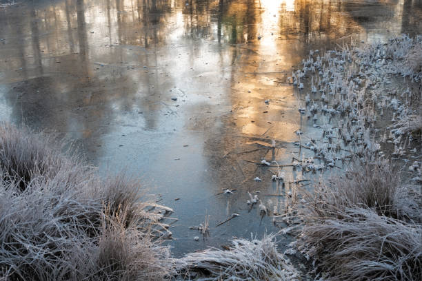 istock Winter sunrise on the frozen lake 1363289048