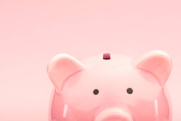 Indian little boy holding the piggy bank for his savings