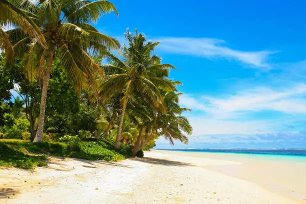 White sandy beach paradise, tropical palm trees and turquoise ocean lagoon, Manase Beach Savai'i Island in Samoa