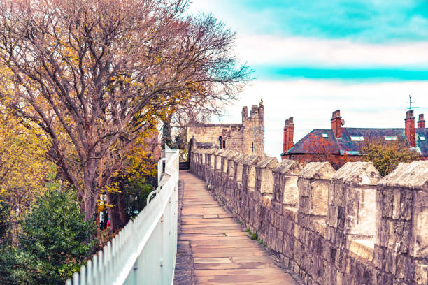 Majestic medieval cathedral with Gothic architecture, towering amidst leafless trees under a blue sky with fluffy clouds, ideal for historical or travel themes in York, North Yorkshire, England.
