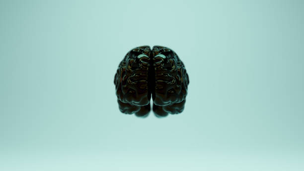 istock Shiny Black Brain Anatomy Cerebral Power Red Blue Oil Reflection Front 1363297879