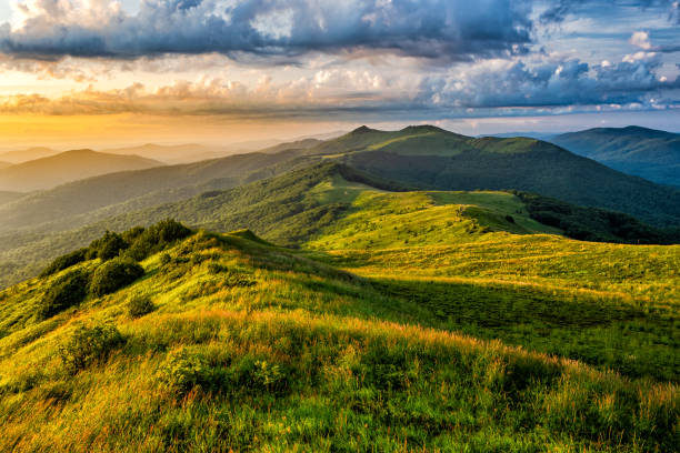 좋은 아침 산. 폴로니나 웨틀린스카, 비슈차디 국립공원, 폴란드. - mountain range carpathian mountain range mountain ridge 뉴스 사진 이미지