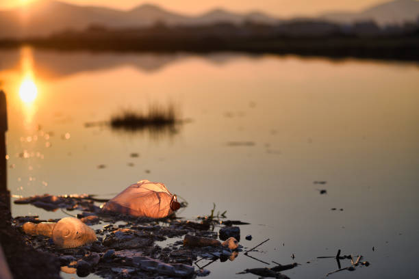 residuos plásticos en la naturaleza - pollution sea toxic waste garbage fotografías e imágenes de stock