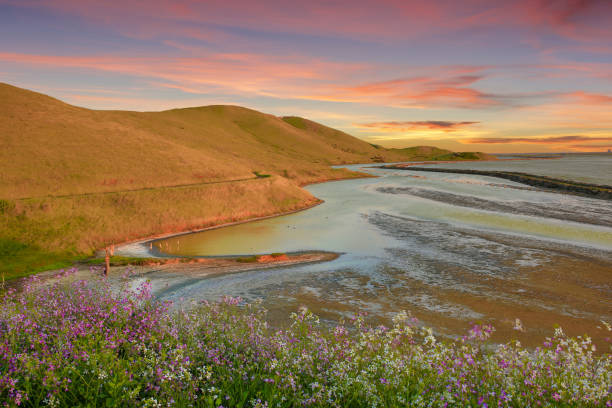 tramonto di primavera al coyote hills regional park - salt pond foto e immagini stock