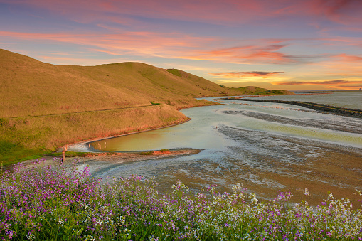 Spring Sunset at Coyote Hills Regional Park. Fremont, Alameda County, California, USA