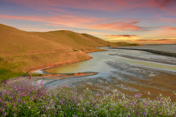 Spring Sunset at Coyote Hills Regional Park Spring Sunset at Coyote Hills Regional Park. Fremont, Alameda County, California, USA alameda county stock pictures, royalty-free photos & images