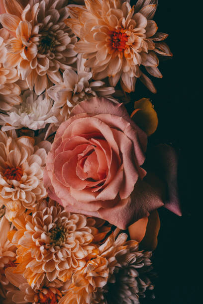 istock Dahlia And Roses 1363307990
