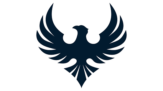 Black Bird logo isolated on white background