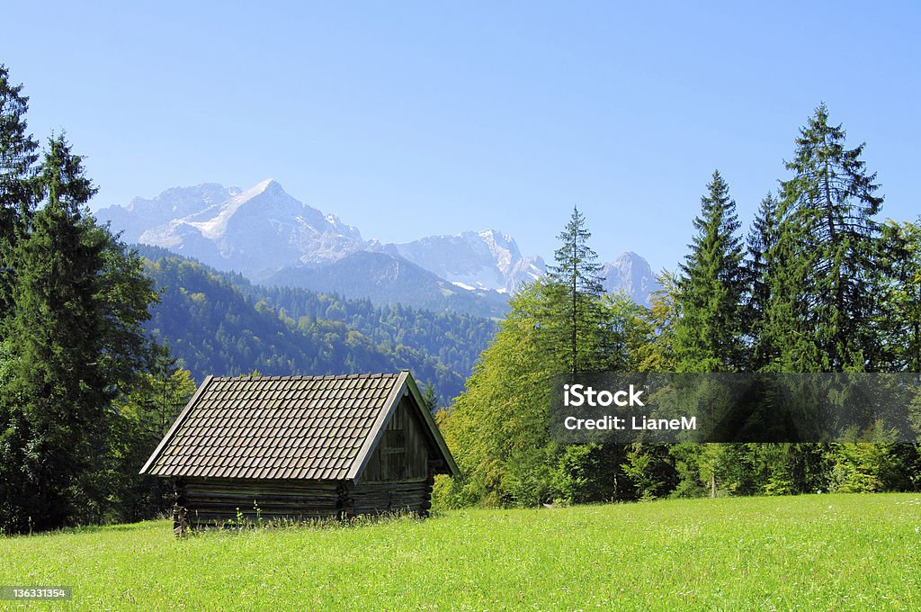 Zugspitze - Foto de stock de Ajardinado royalty-free