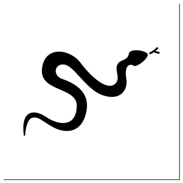 ilustrações de stock, clip art, desenhos animados e ícones de snake glyph icon - snake cobra egyptian cobra poisonous organism