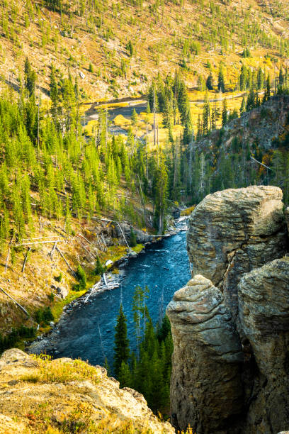 istock Yellowstone river in Yellowstone national park. 1363314747