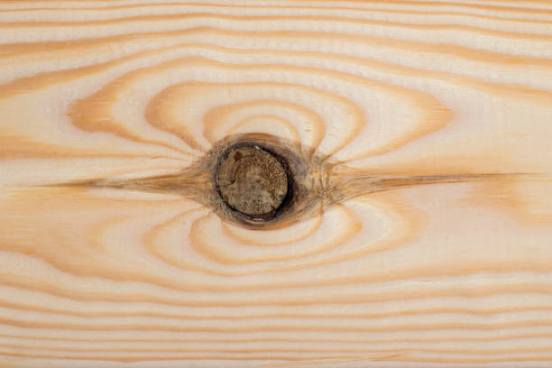 Fresh pine wood plank with the knot in the center