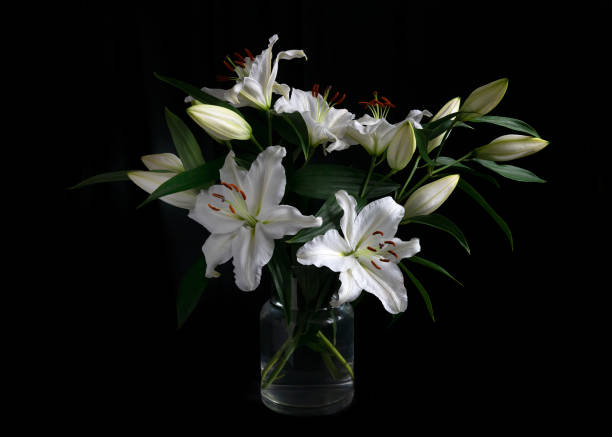 bouquet di bianco le calle - zephyranthes lily foto e immagini stock