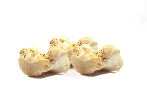 istock baked crumbly biscuit bread product for breakfast breakfast 1363319511