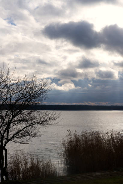 istock landscape with bare tree lake and clouds in winter 1363320483