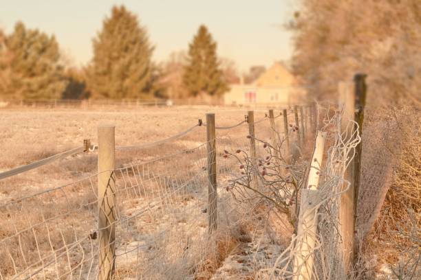 istock Quiet and peaceful winter landscape 1363329285