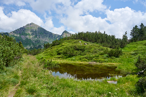 Small lake on Mangheneti. Lagorai Mountain Range. Trentino-Alto Adige. Italy.
