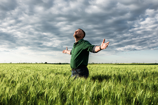 Portrait of middle age farmer standing in wheat field with his arms outstretched.