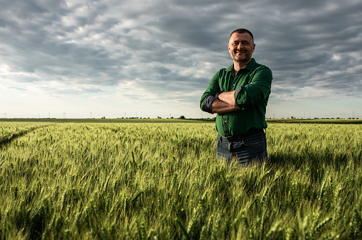 Portrait of middle age farmer standing in wheat field.