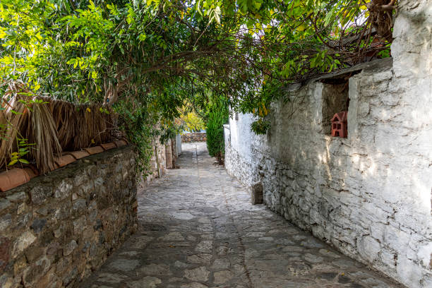Street view covered with tree leaves between stone houses in the old Datca (Datça) district of Mugla Muğla).