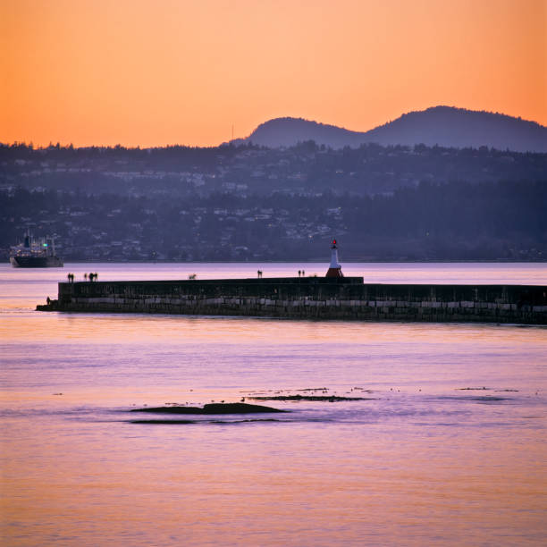 sunset light at the Pacific Ocean in Vancouver Island