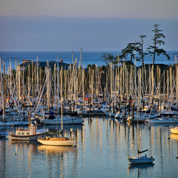 Royal Victoria Yacht Club Marina in Victoria on Vancouver Island, British Columbia
