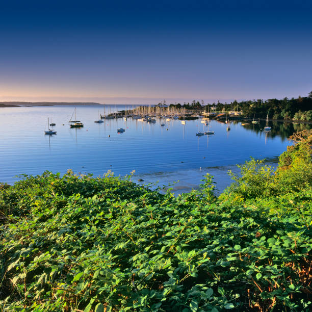 istock Victoria, Vancouver Island 1363336920