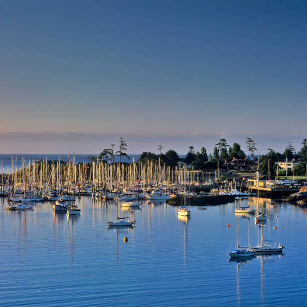istock Victoria, Vancouver Island 1363336921