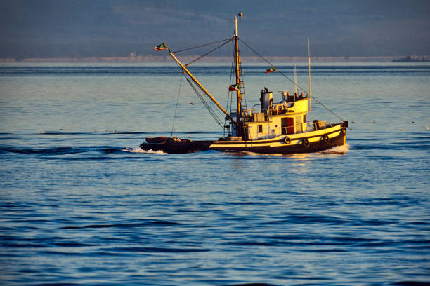 istock Victoria, Vancouver Island 1363338189