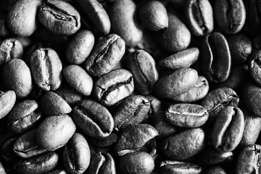 A full frame close-up macrophotography image of dark roasted coffee beans in monochrome black and white.