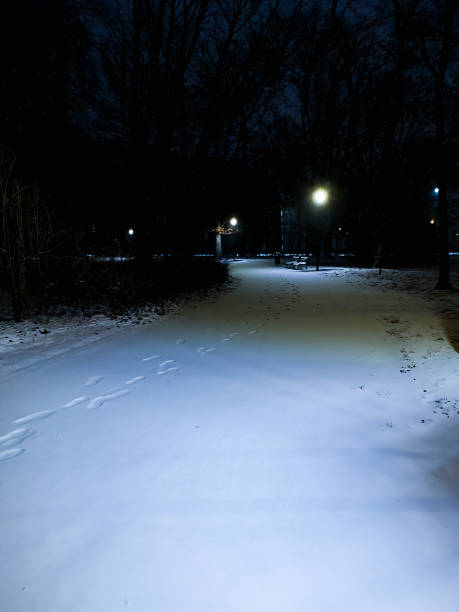 istock Some of footsteps on fresh snow at dark path in park 1363344264
