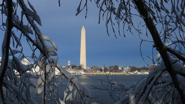Tidal Basin and Washington Monument Seen Through Snow Covered Branches