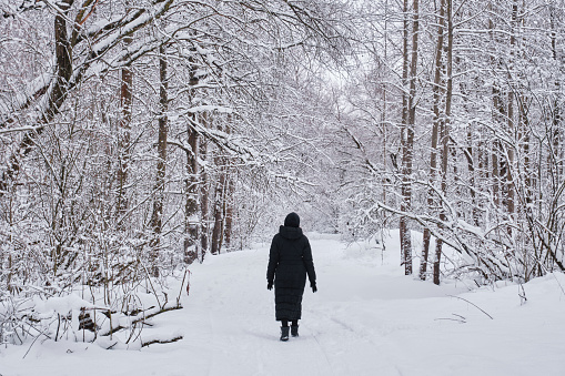 A woman walks alone in a snow-covered park among trees.