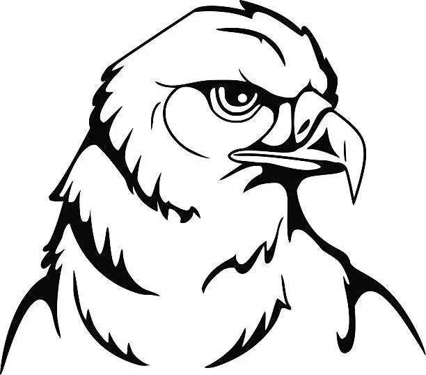 Vector illustration of eagle