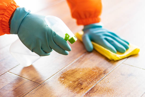 istock Person cleaning floor with disinfectant spray 1363357118