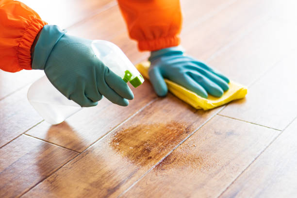 istock Person cleaning floor with disinfectant spray 1363357175