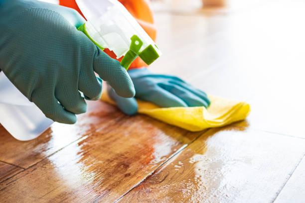 istock Person cleaning floor with disinfectant spray 1363357215