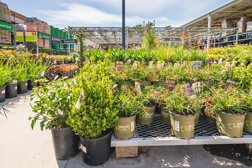 Santa Maria, California, USA - April 4, 2021.  Garden center and floral market. Variety of flowers, trees, plants, different types of potting soil and organic fertilizers, Spring season