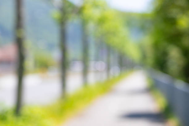 Sidewalk and blur landscape of fresh green