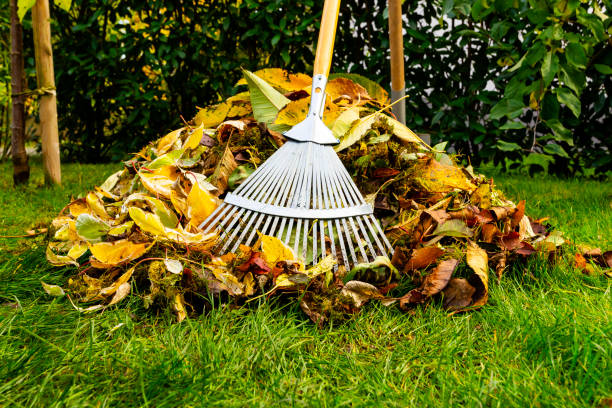 istock Cleaning garden in autumn 1363363526
