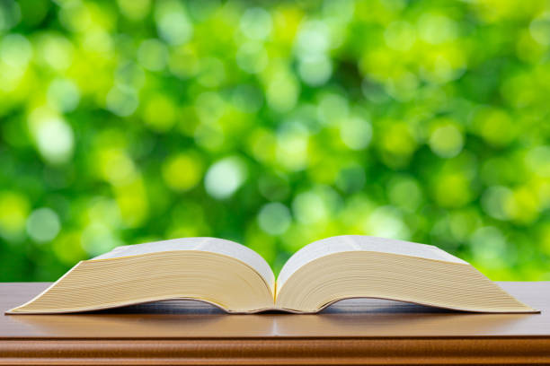 istock Opened thick book and green blur background 1363363646