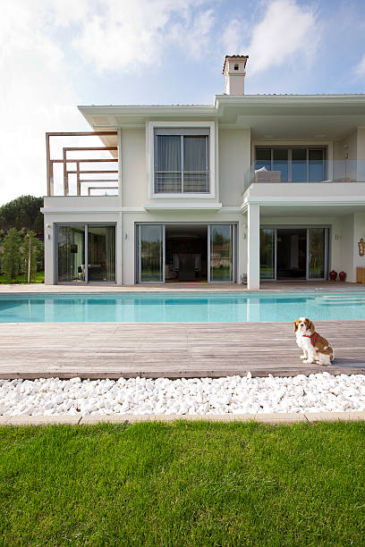 modern house with swimming pool