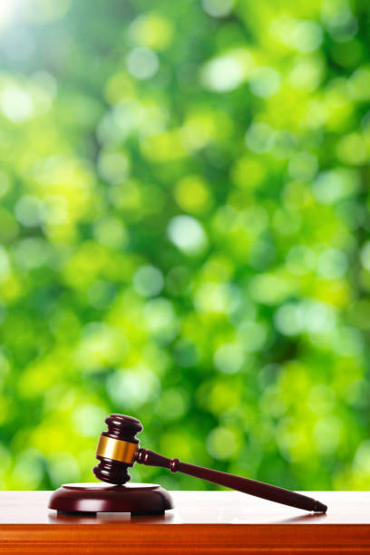 istock Gavel and green blur background 1363366453