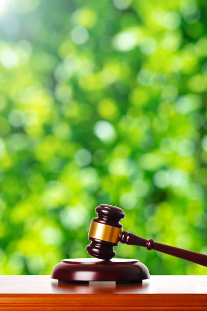 istock Gavel and green blur background 1363366456
