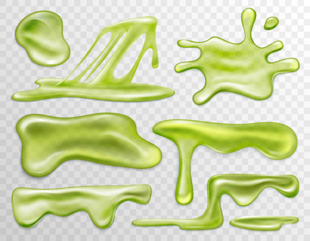 Green slime liquid, blots and drops set, top view of 3d splatter snail slug, splats Green slime liquid, blots and drops set, top view vector illustration. 3d realistic splatter snail slug, splats of bacterias or viruses drip, Halloween mucus isolated on transparent background slime monster stock illustrations
