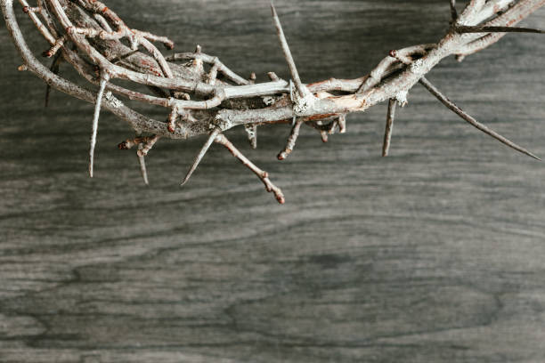 istock Crown of thorns 1363375328