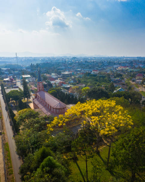 istock Yellow Flamboyant tree behind Tan Thanh church 1363377319